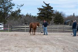 LR-WRF 0402026 Retreat-3161